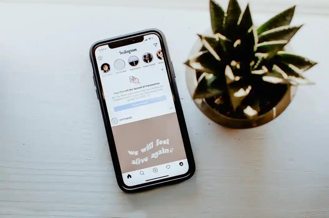 يحذر خبراء Instagram من عملية احتيال "انقر هنا لإعادة تعيين كلمة مرور Instagram الخاصة بك"